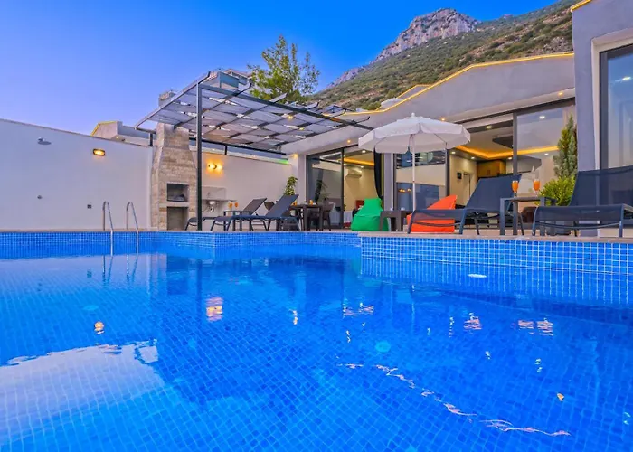 Villa Elfu